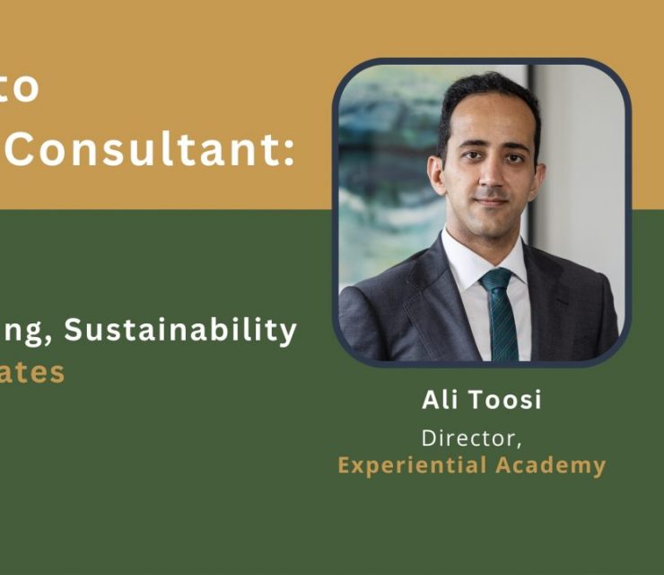 Management Consulting, Sustainability & Skills for UK Graduates